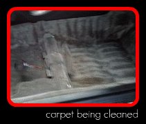 carpet being cleaned by Fifty Dollar Detail